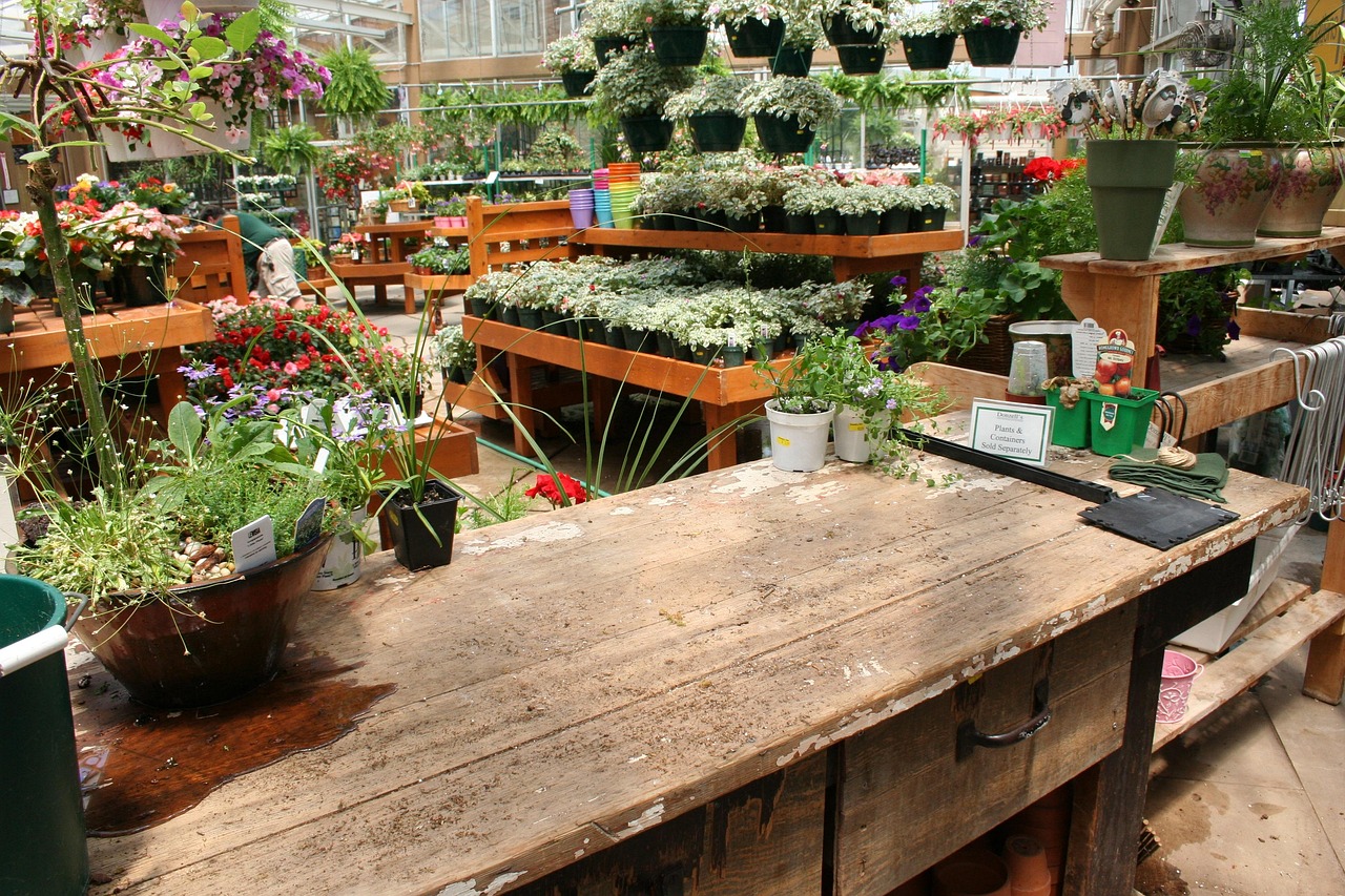 Plantes en pots présentées dans une jardinerie