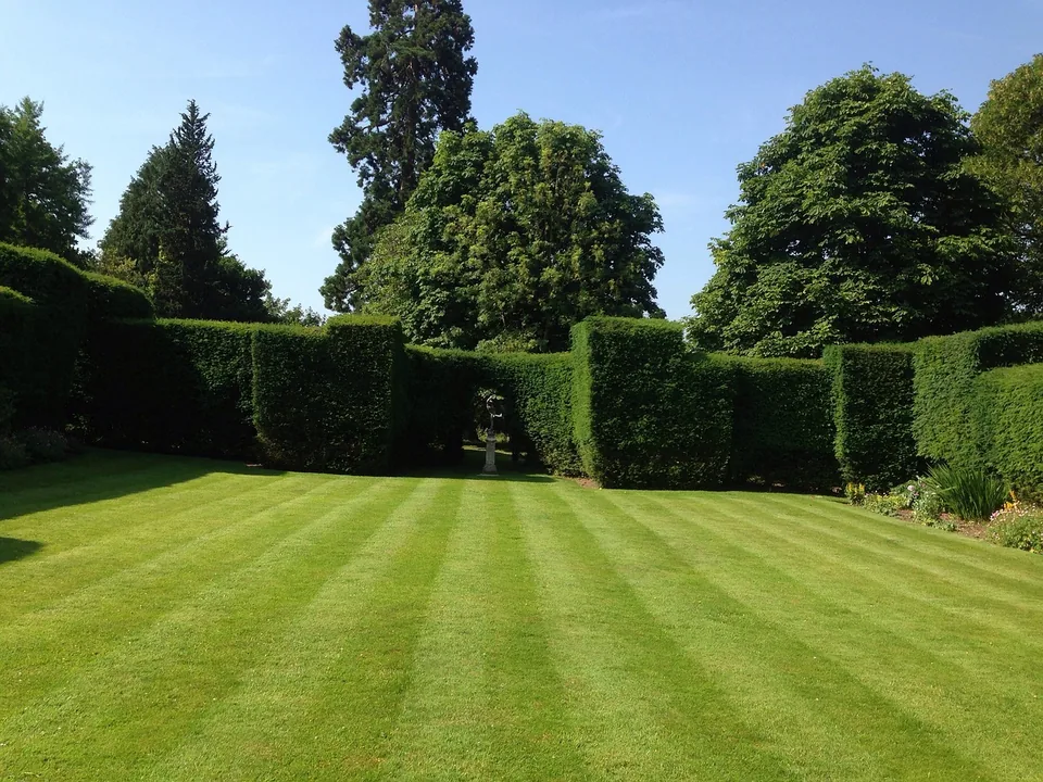 Pelouse et haies taillées dans un jardin aménagé