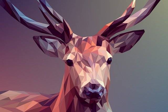 web 3 polygon