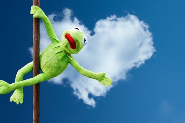 404 screaming frog