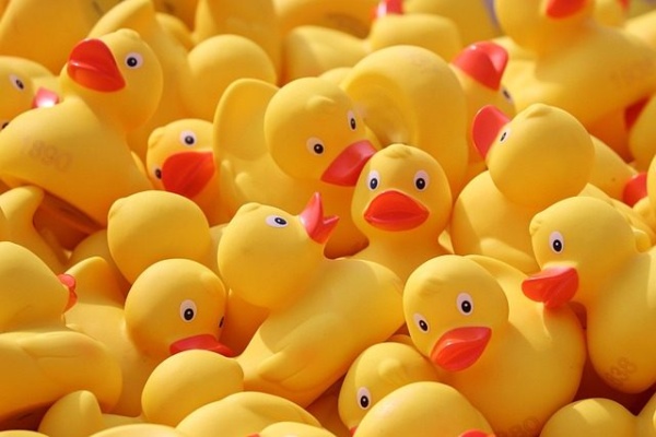 Concours SEO
