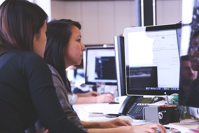 consultant informatique en SSII
